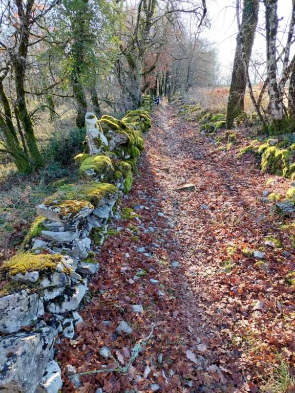 CLUB - Rando périscolaire à Montricoux