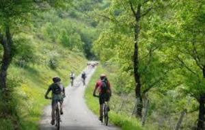 CLUB - rando hiver  à Bruniquel