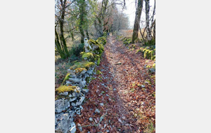 CLUB - DERNIERE MINUTE - Rando Boussac Belmont Sainte Foy - Niveau rouge