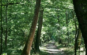 CLUB - Rando Montricoux - Niveau rouge