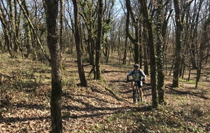 CLUB - RANDO DEBUTANT (Montech)